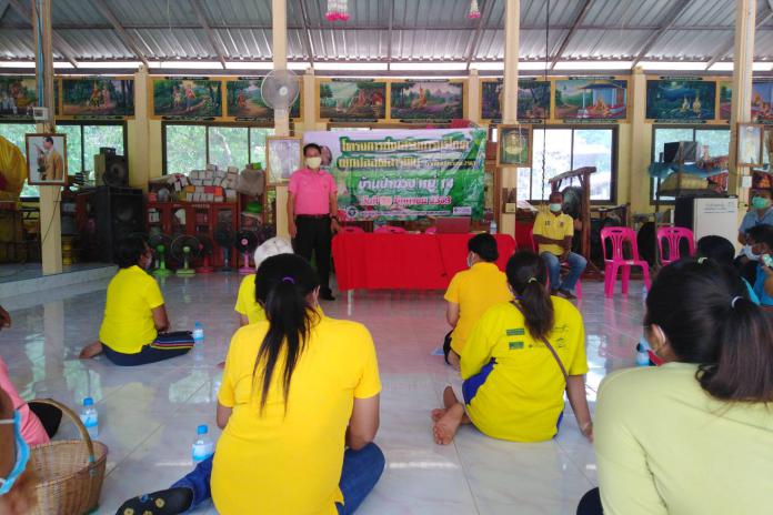โครงการส่งเสริมการบริโภคผักปลอดสารพิษ ปีงบประมาณ2563